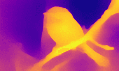 Depth Map